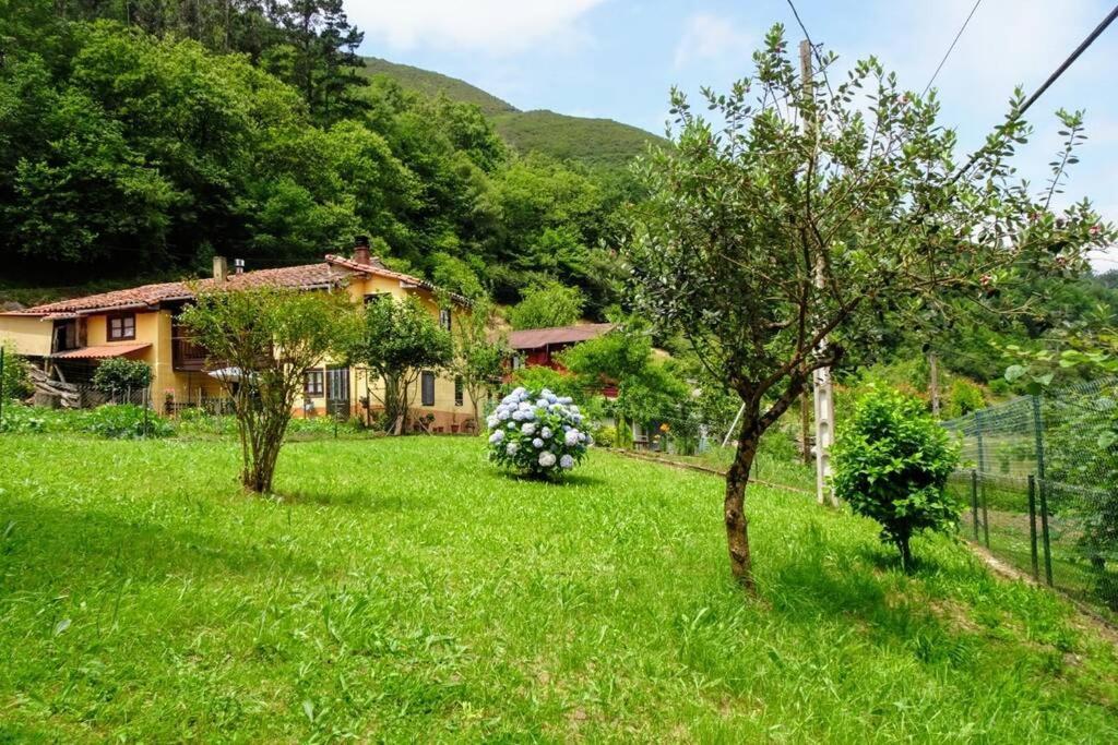 Casa Albina Holiday home Riofabar