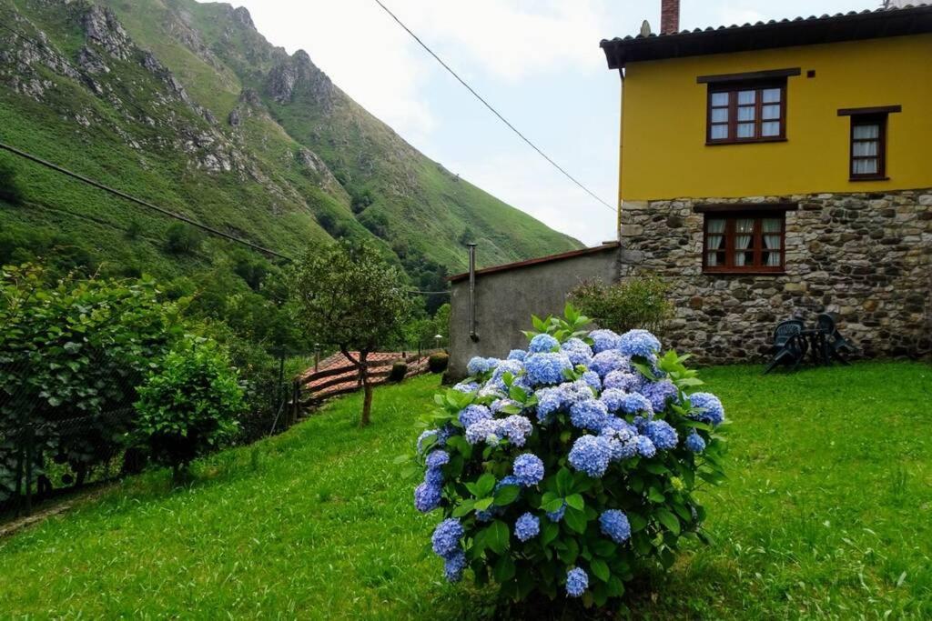 Casa Albina *
