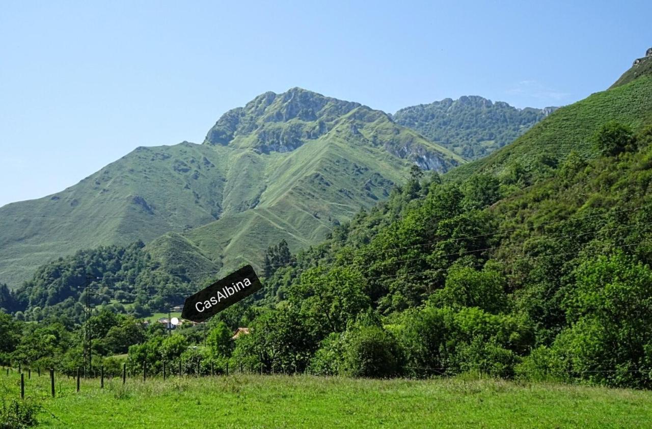 Casa Albina Hébergement de vacances