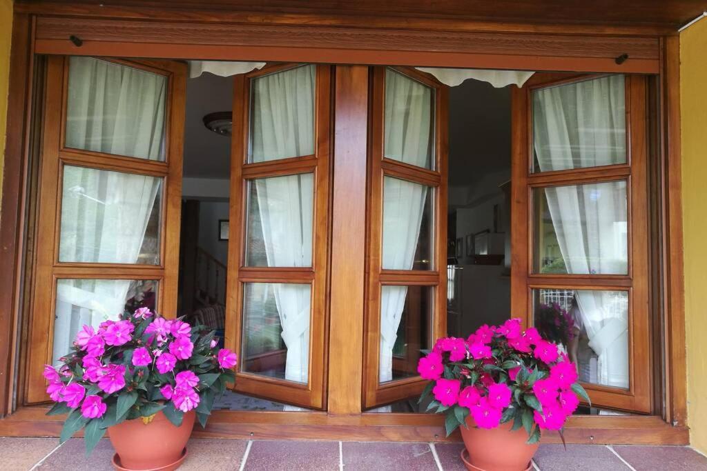 Casa Albina