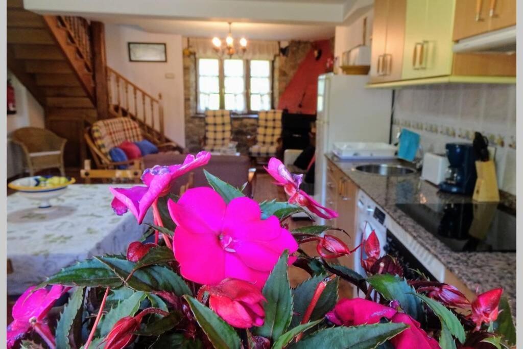 Casa Albina Hébergement de vacances