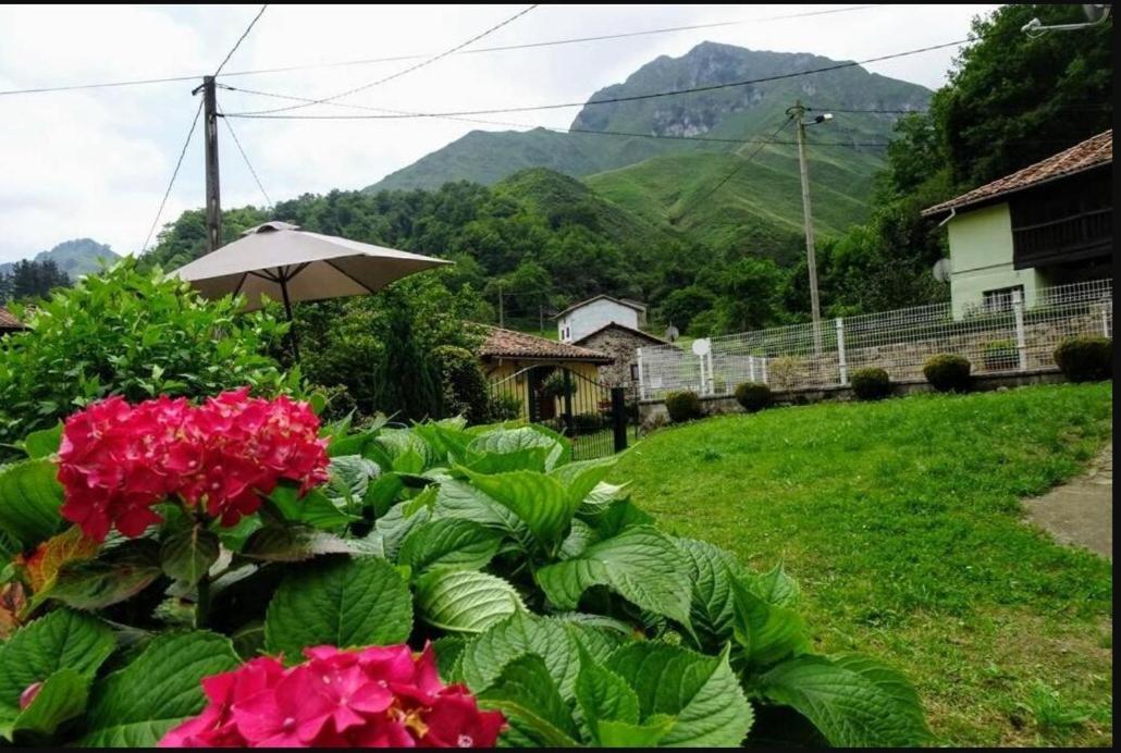 Casa Albina *